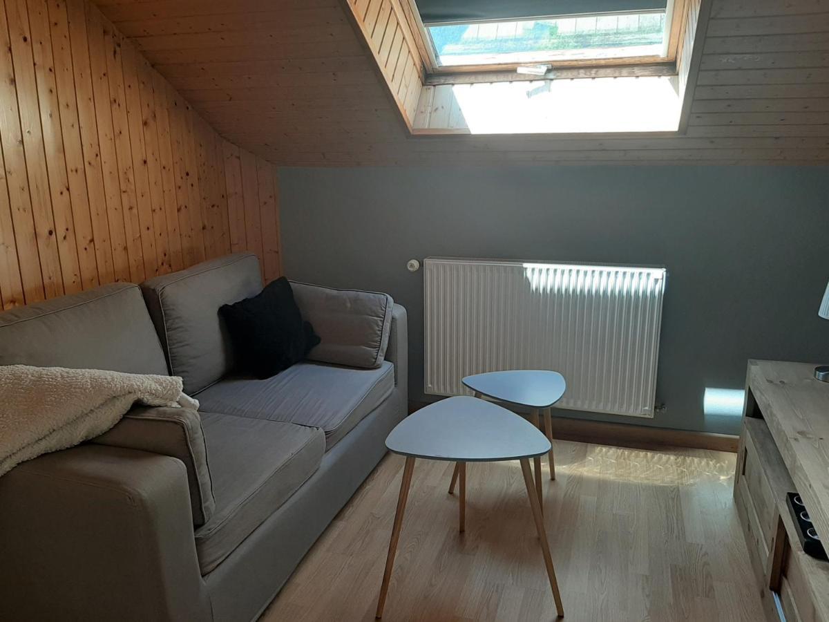 Charmant Appartement 2-4 Personnes Entre Annecy Et Aravis Thônes Eksteriør bilde