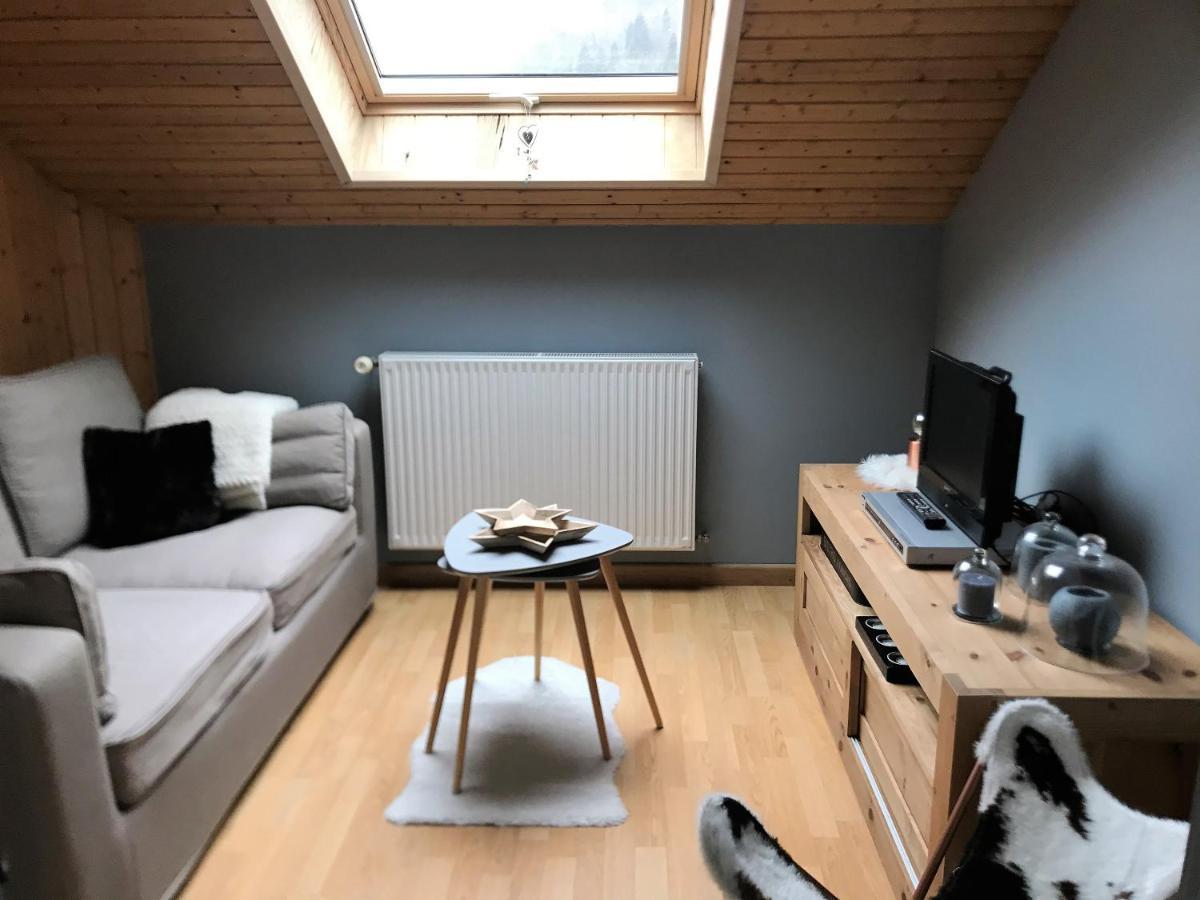 Charmant Appartement 2-4 Personnes Entre Annecy Et Aravis Thônes Eksteriør bilde