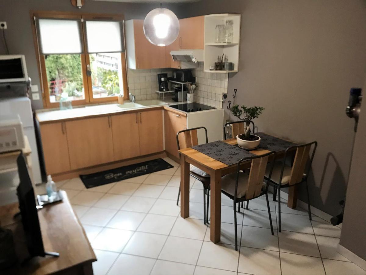 Charmant Appartement 2-4 Personnes Entre Annecy Et Aravis Thônes Eksteriør bilde