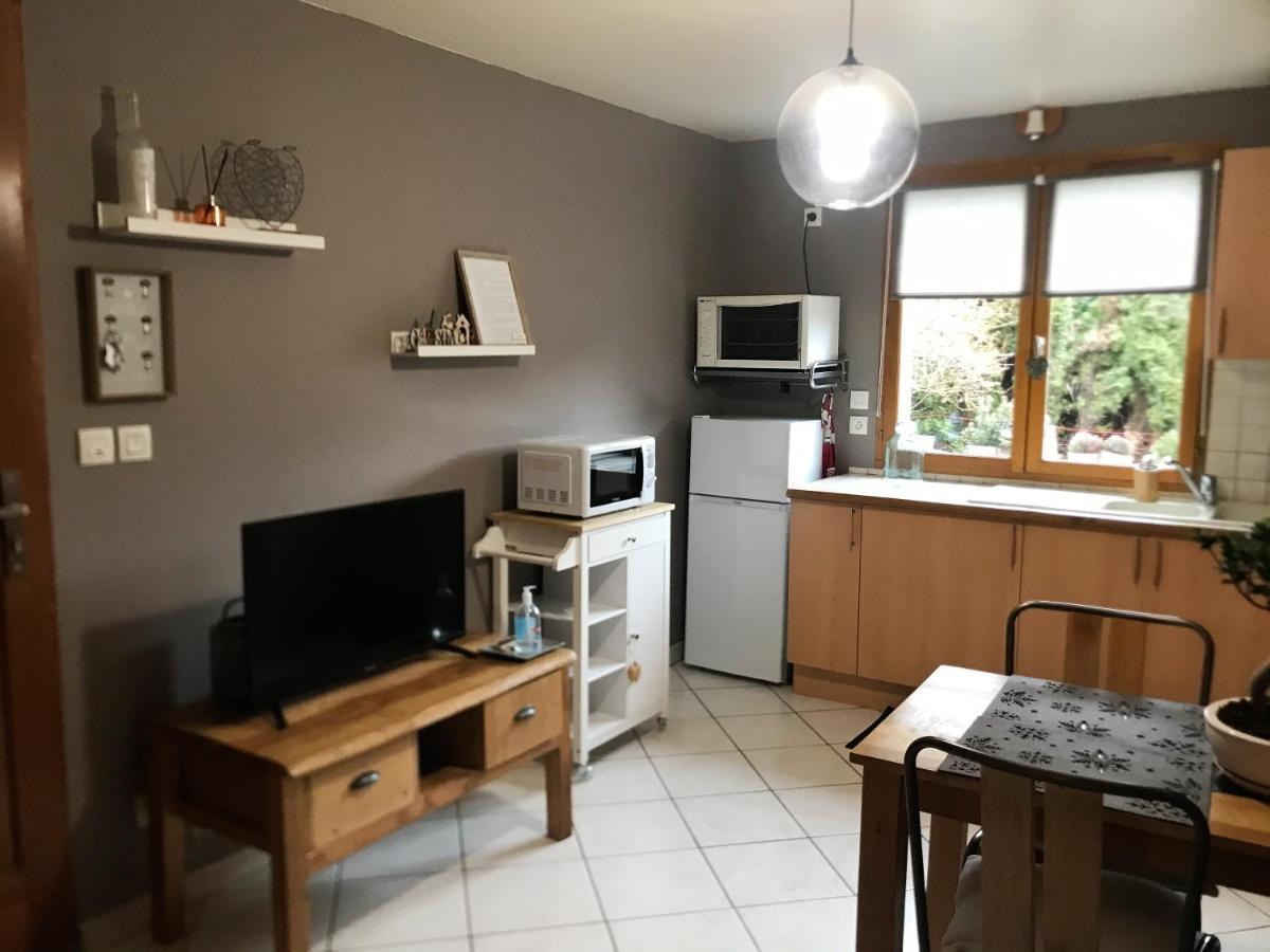 Charmant Appartement 2-4 Personnes Entre Annecy Et Aravis Thônes Eksteriør bilde