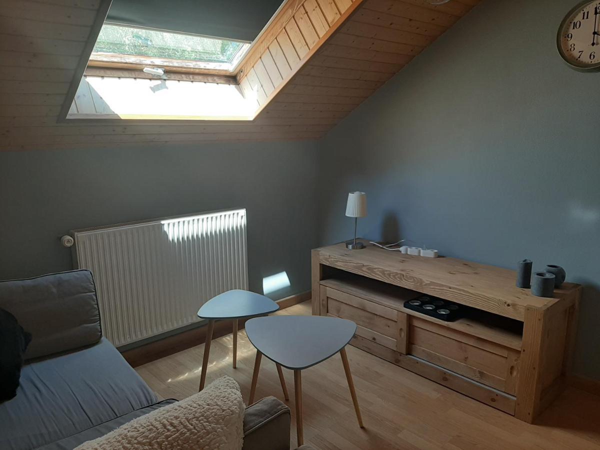Charmant Appartement 2-4 Personnes Entre Annecy Et Aravis Thônes Eksteriør bilde